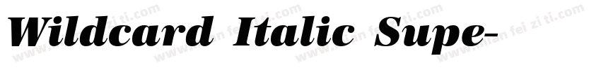 Wildcard Italic Supe字体转换